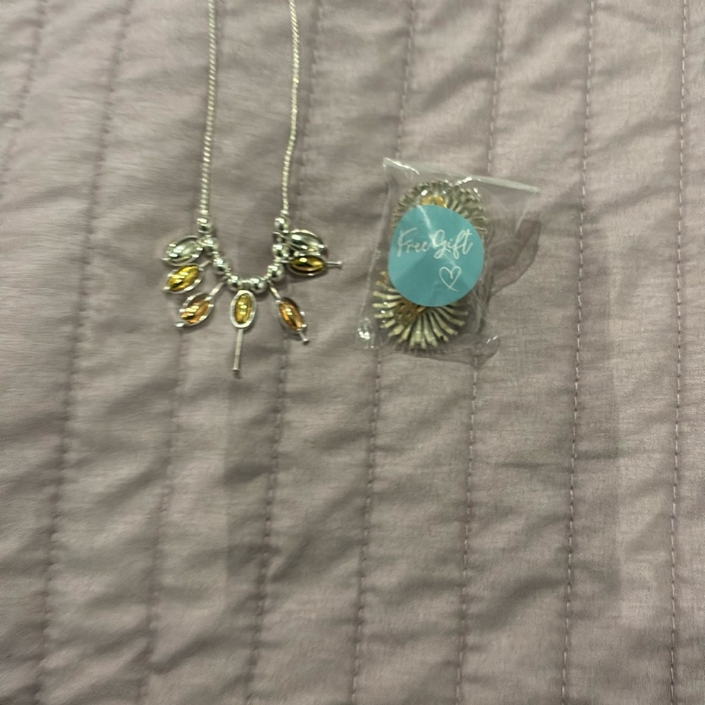Chic Silver and Gold Charm Necklace - Free clip earrings